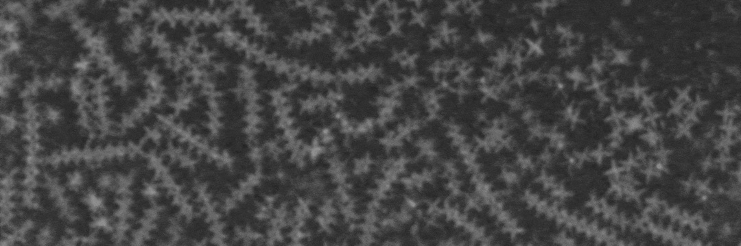 Synthesis
