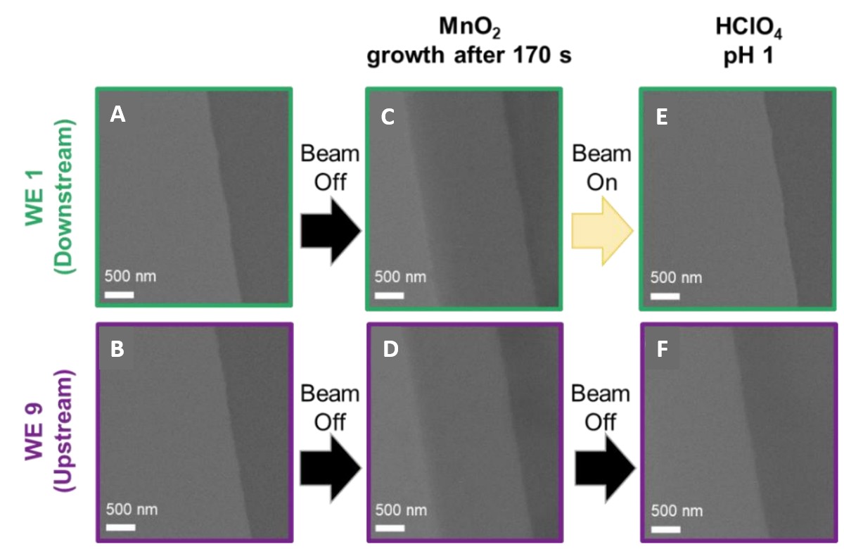 In-situ MnO2 nanosheet synthesis, dissolution, and stability window investigation