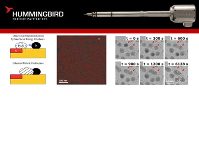TEM MEMS Heating + Biasing sample holder - nanoparticle coalescence