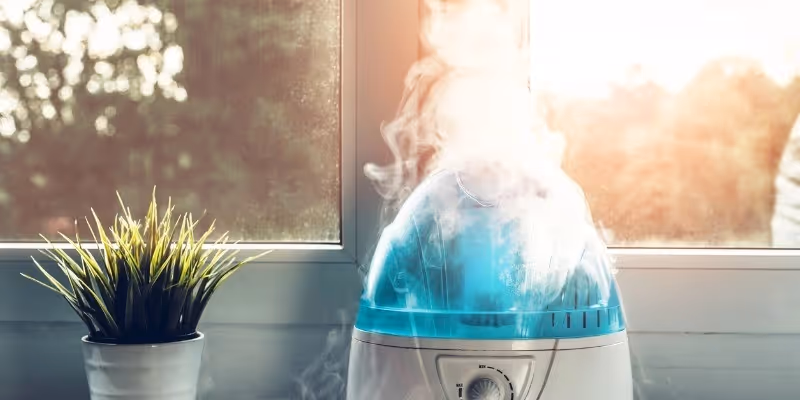 Humidifier emitting mist near a plant.