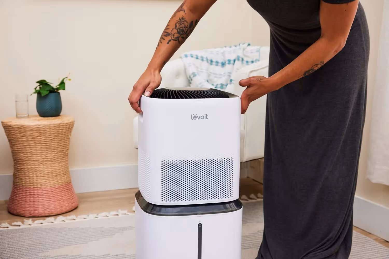 Person assembling white Levoit evaporative humidifier.