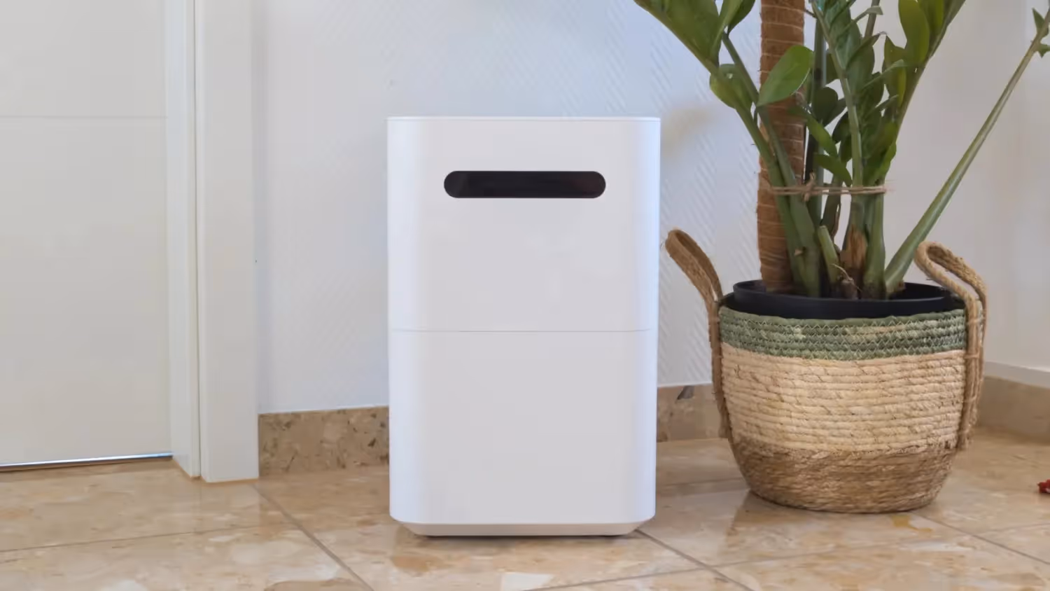 White Smartmi evaporative humidifier beside plant.