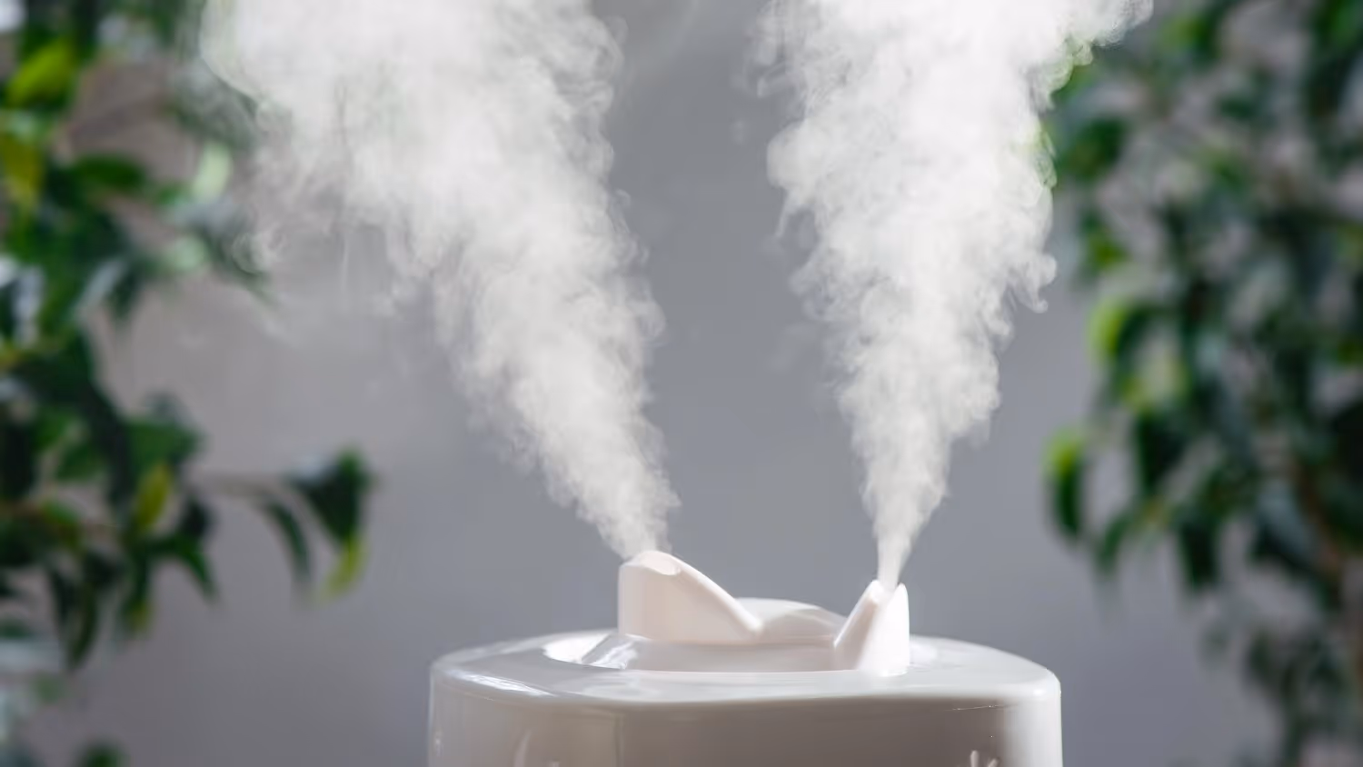 White humidifier releasing two mist plumes.