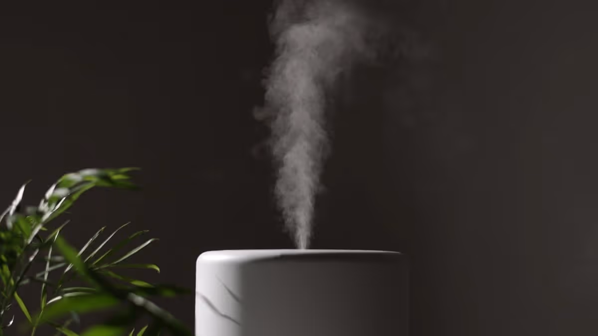 White humidifier emitting mist near plants.