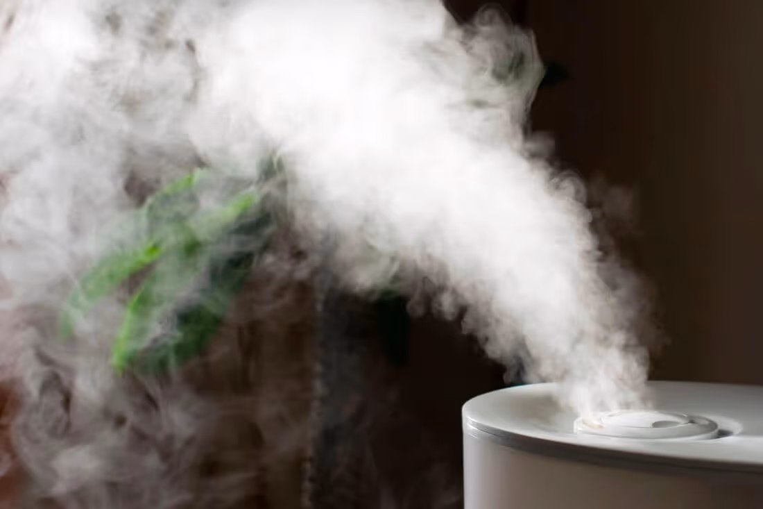 White humidifier releasing a thick mist.