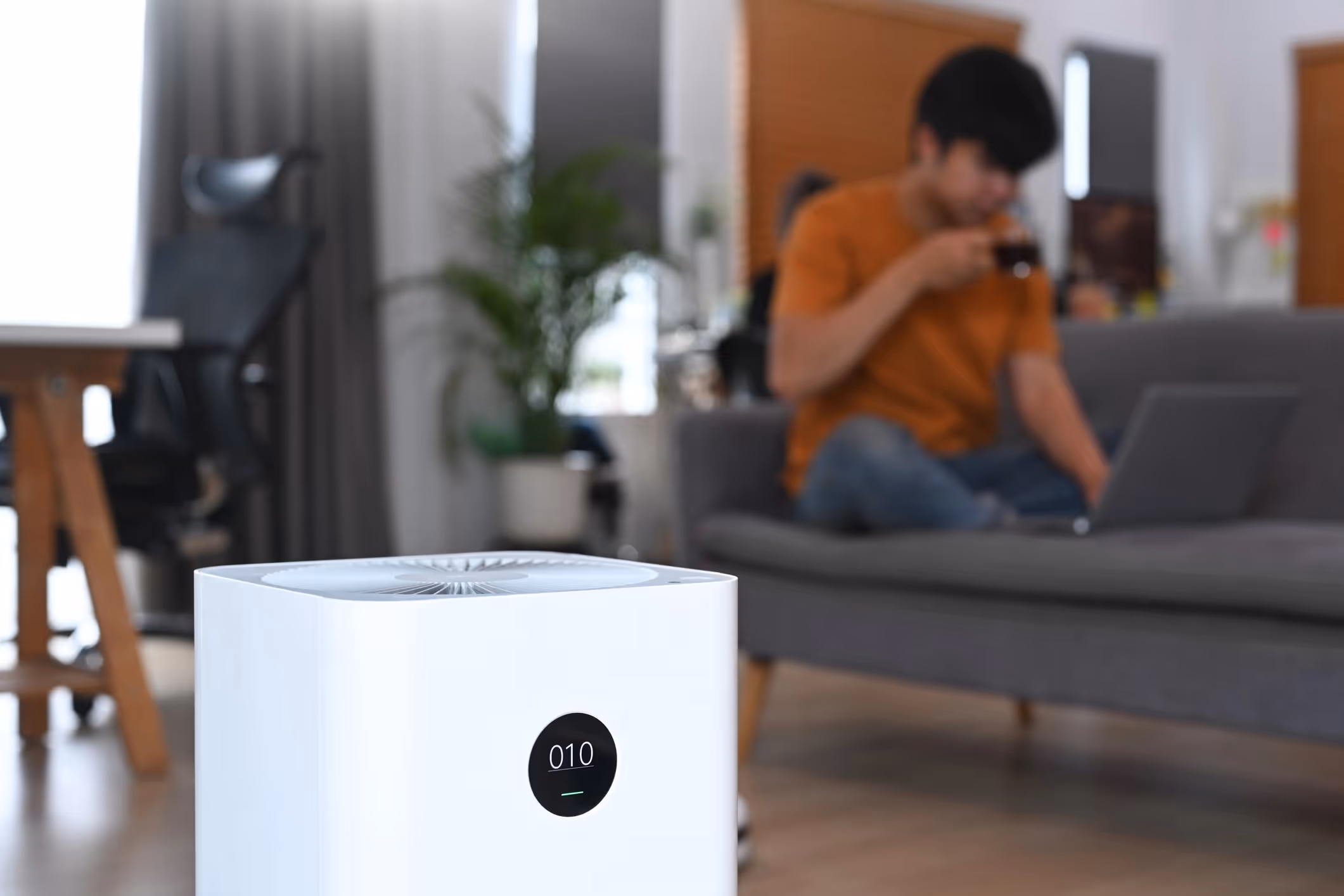 Enhancing Indoor Air Quality: The Benefits of Whole House Dehumidifiers