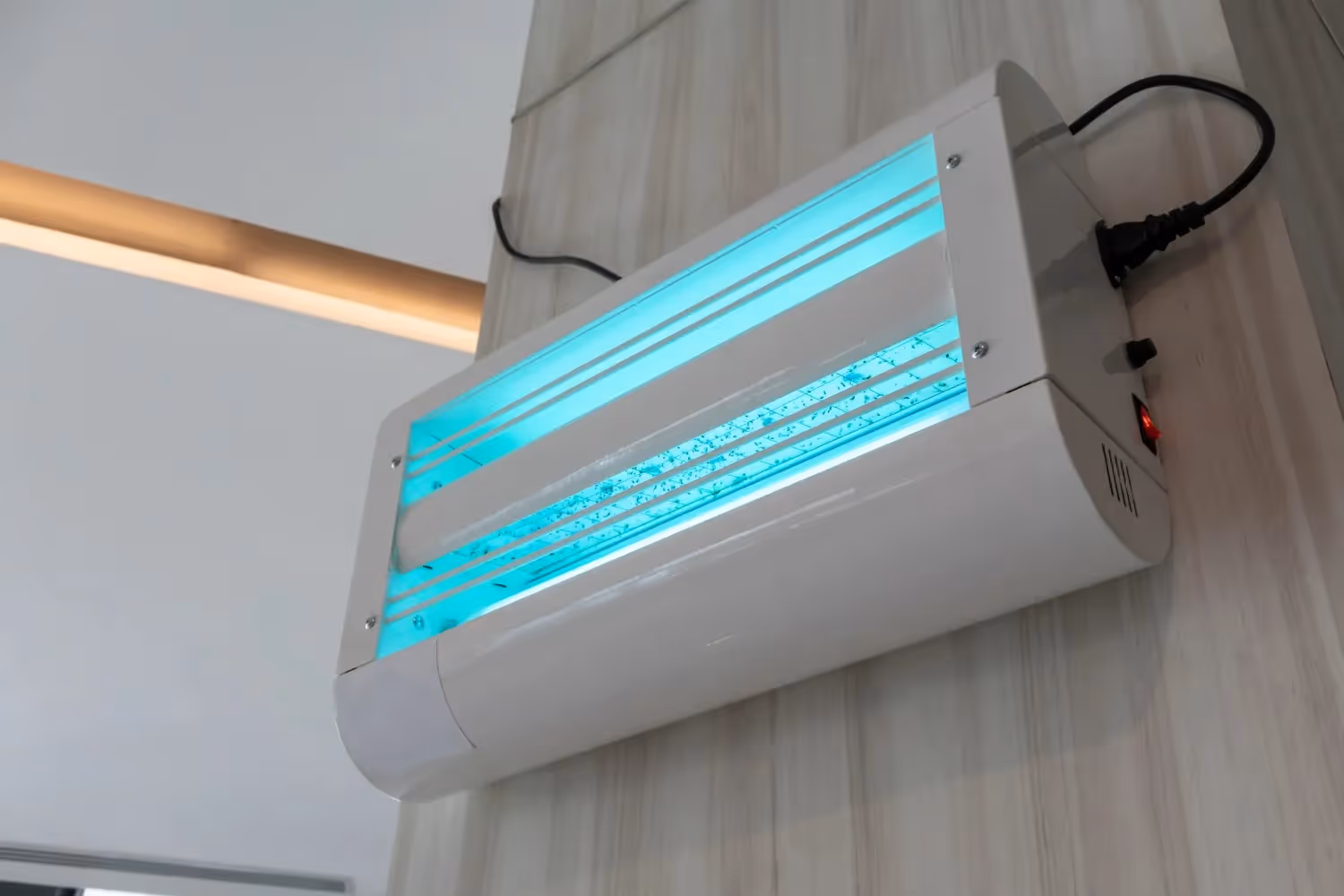 Wall-mounted electric insect killer glowing blue, actively zapping insects with visible accumulation at the bottom.