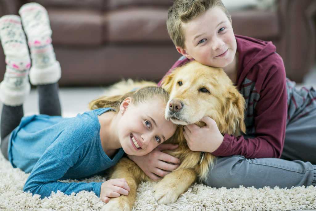 Media air cleaners and air filtration services in a home setting, emphasizing indoor air quality improvement.