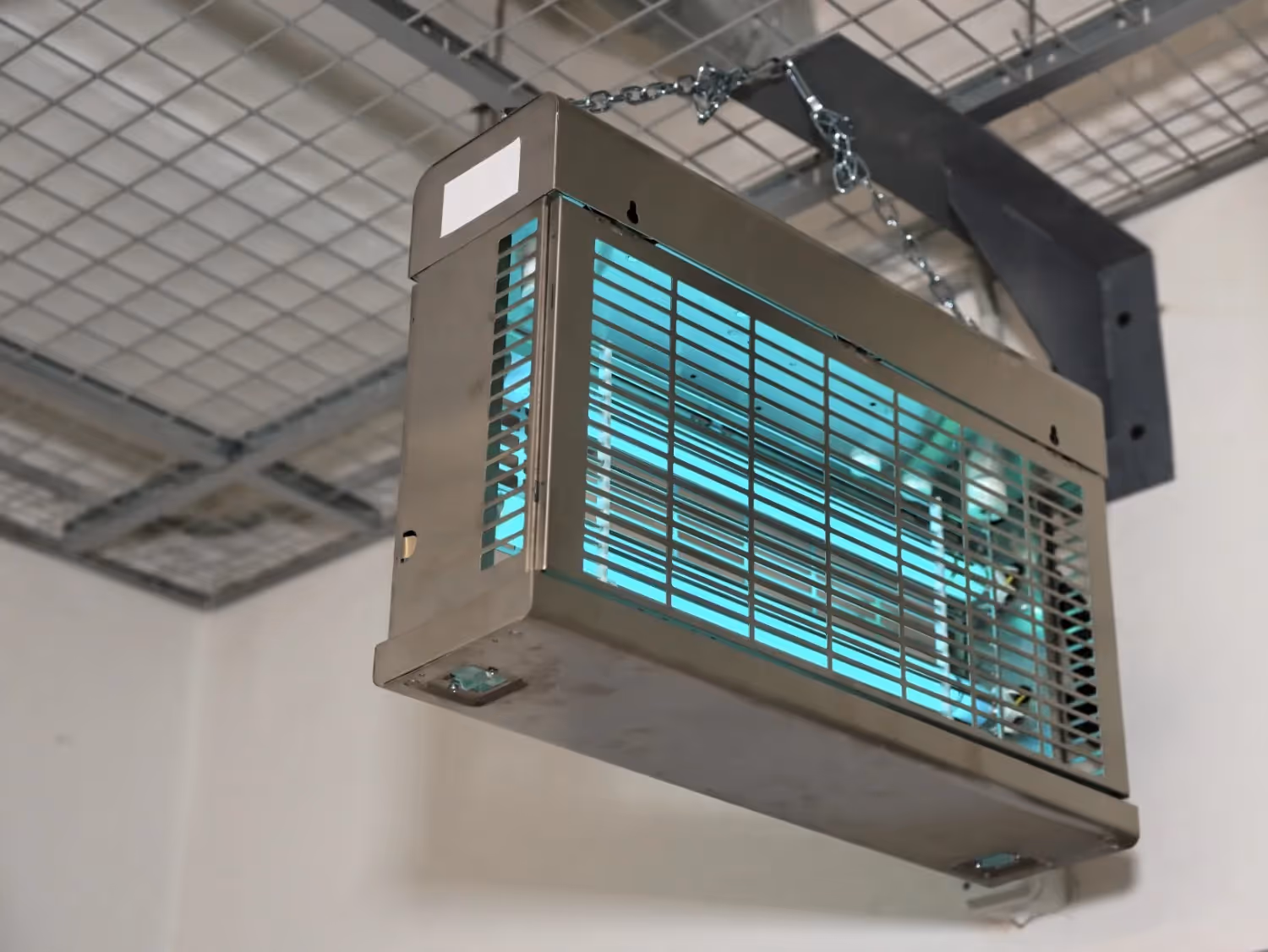 Ceiling-mounted electric bug zapper with blue UV light in a commercial indoor setting, used for flying insect control.