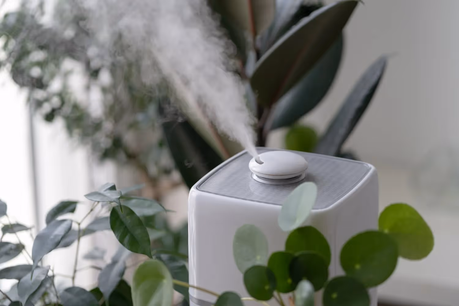 White humidifier releasing mist surrounded by green indoor plants in a bright, cozy setting.