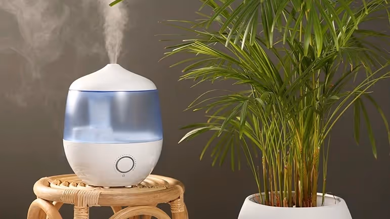 White humidifier emitting mist beside plant.