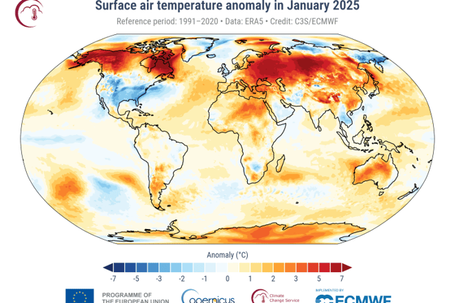 Map of global temperature percentiles for January 2025