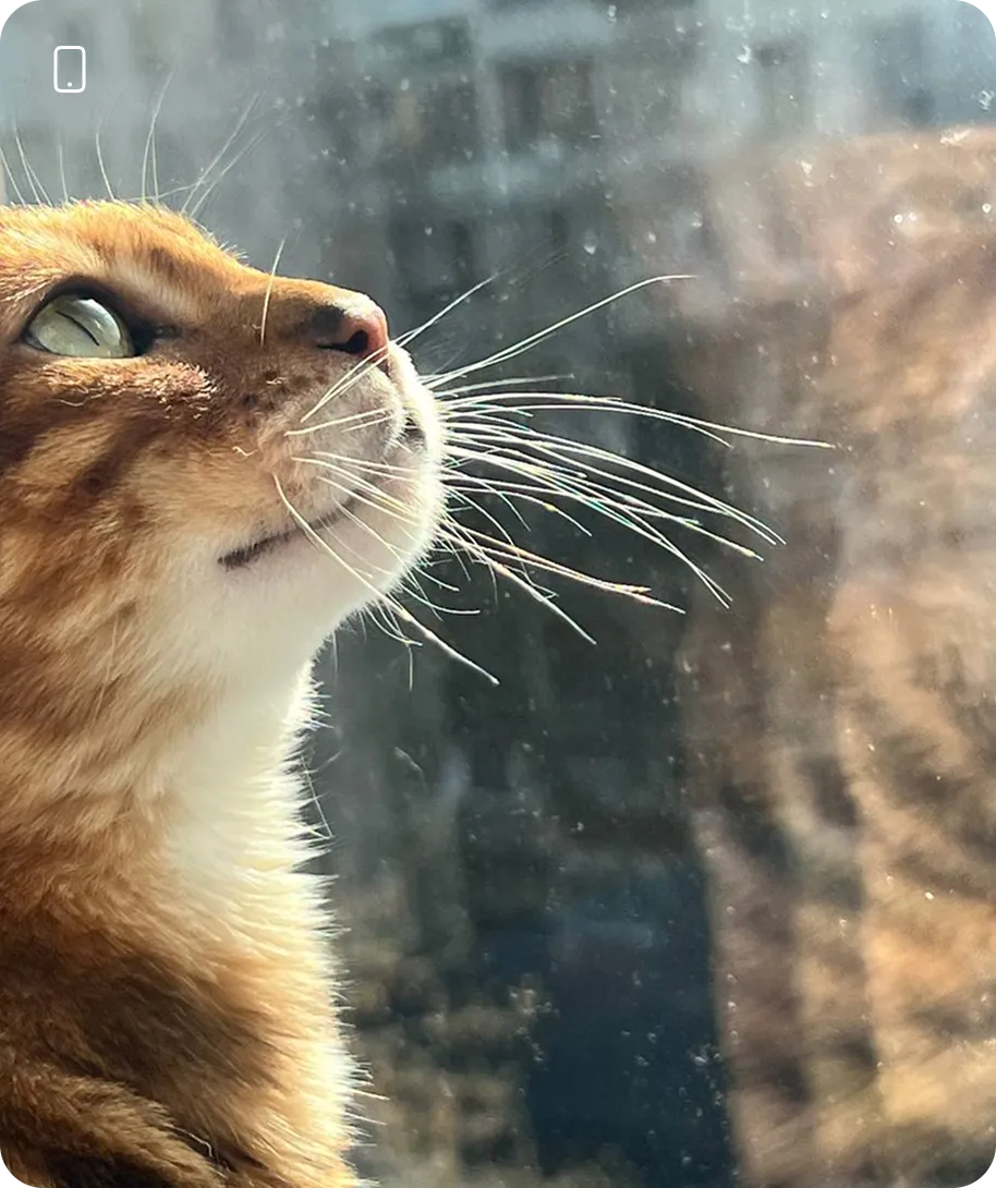 Приклад зйомки – Pro Photo Academy
