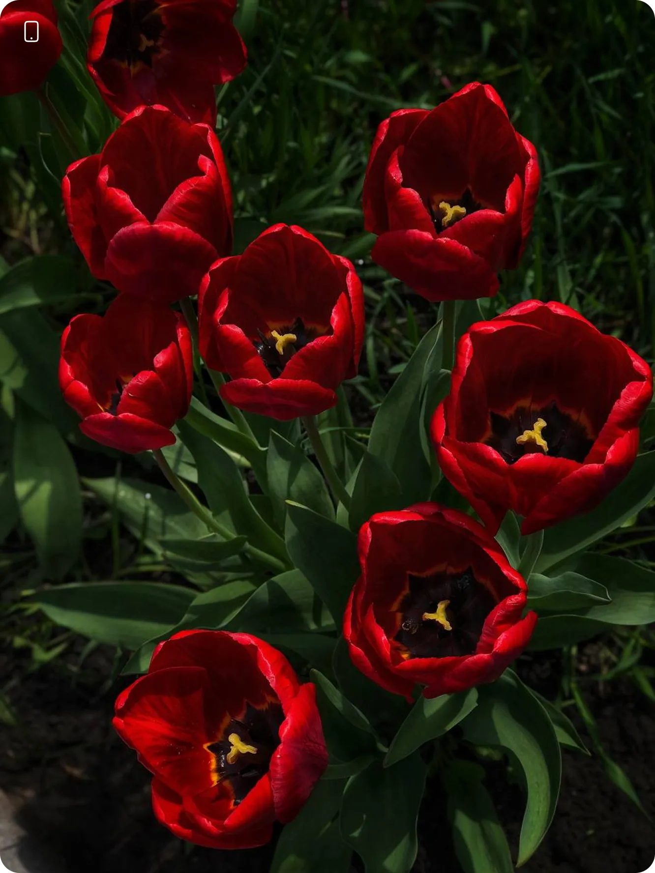 Світлини, результати учнів після проходження курсу