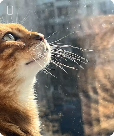 Результати робіт студентів, після проходження курсів з створення візуального контенту