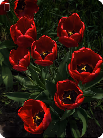 Результати робіт студентів, після проходження курсів з створення візуального контенту