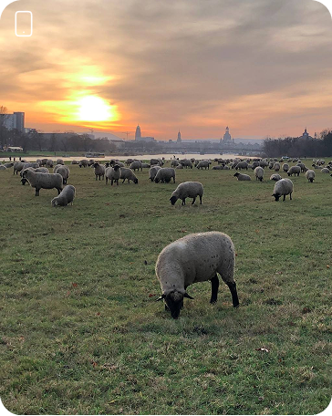 Результати робіт студентів, після проходження курсів з створення візуального контенту