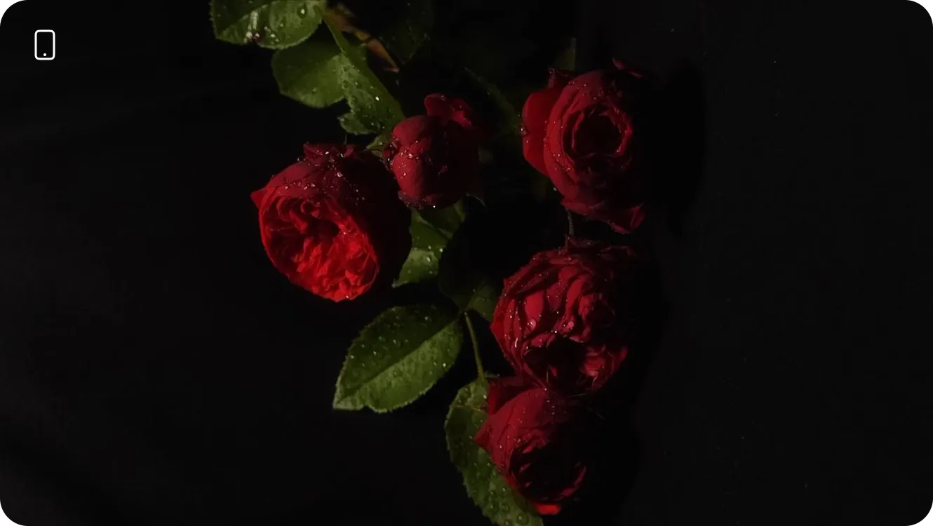 Фото фуд та предметної зйомки, результат студентів після проходження курсу фуд та предметна зйомка