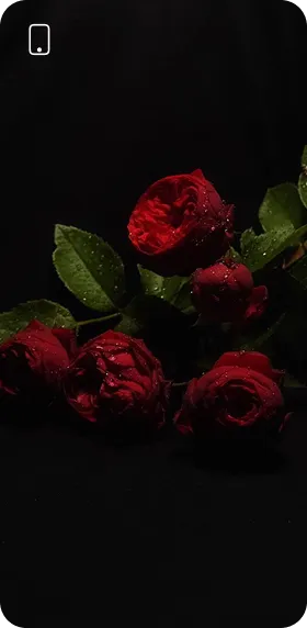 Фото фуд та предметної зйомки, результат студентів після проходження курсу фуд та предметна зйомка