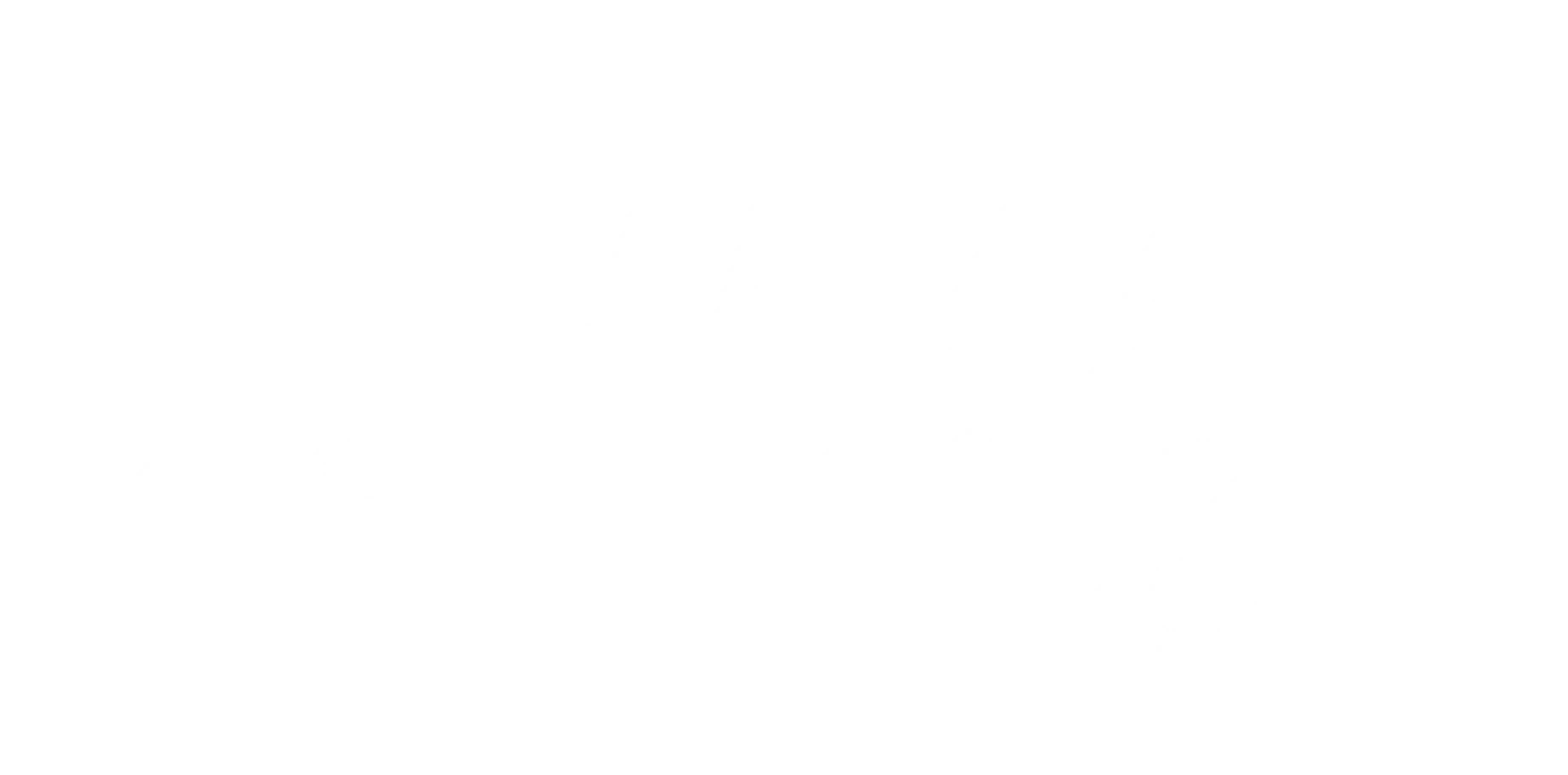 newman regency logo white