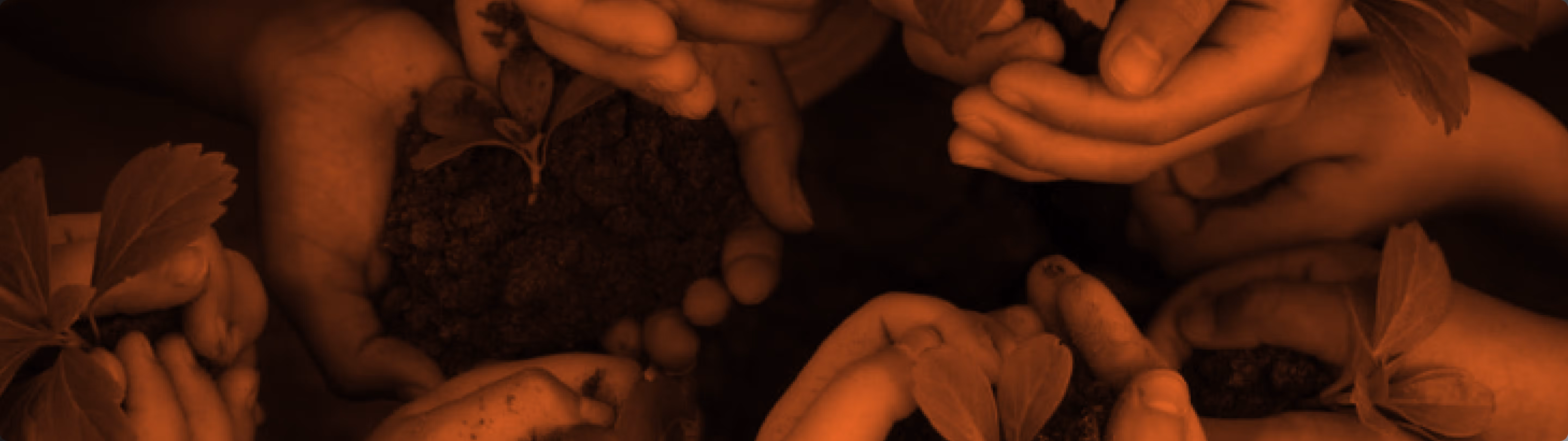 Multiple hands holding small plants with soil, symbolizing growth and care.