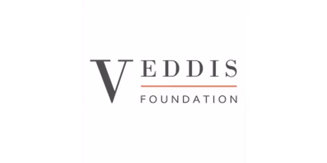 VEDDIS FOUNDATION wordmark logo with a red underline beneath 'EDDIS'.