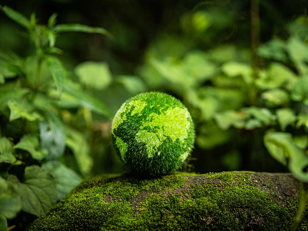 carbon negative impact on the environment