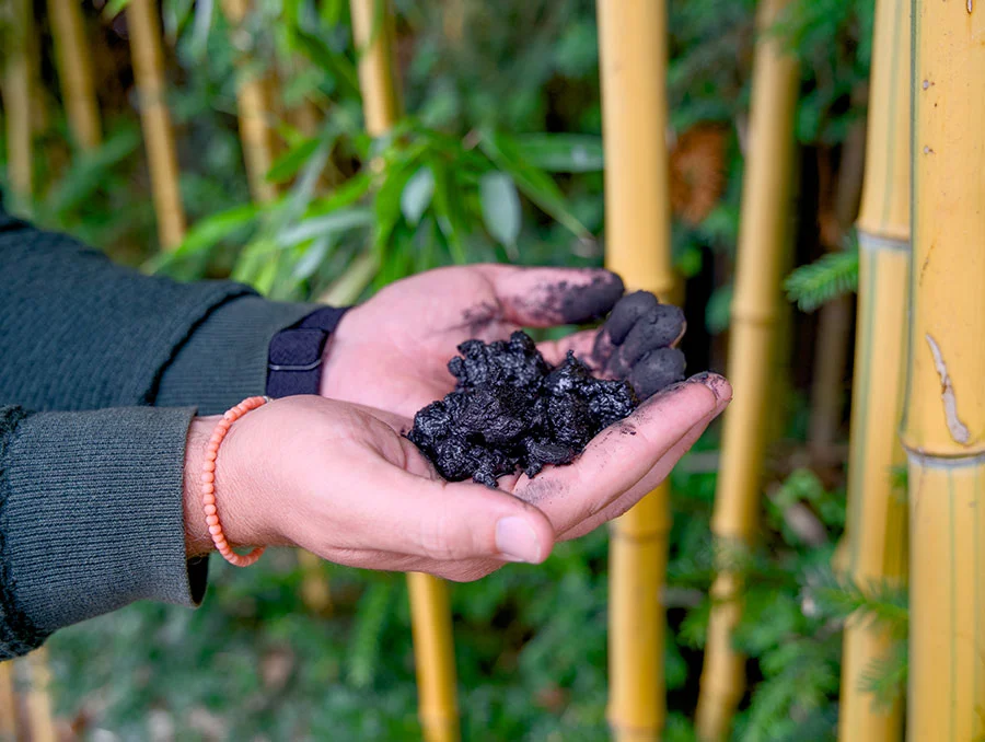 coal displacement shuhari renewables