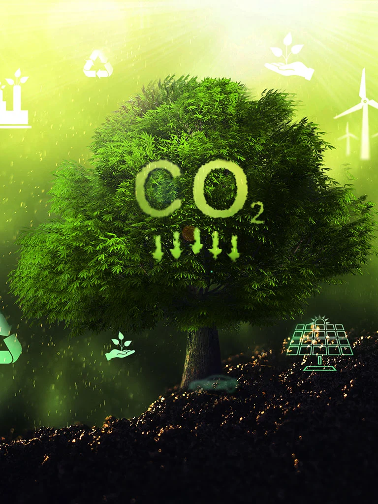 carbon dioxide lowering by renewable energy companies