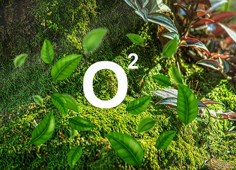 oxygen free environment by renewable energy