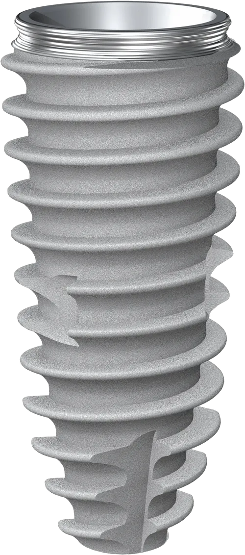 Metallic dental implant screw with external threading and interior hollow section.