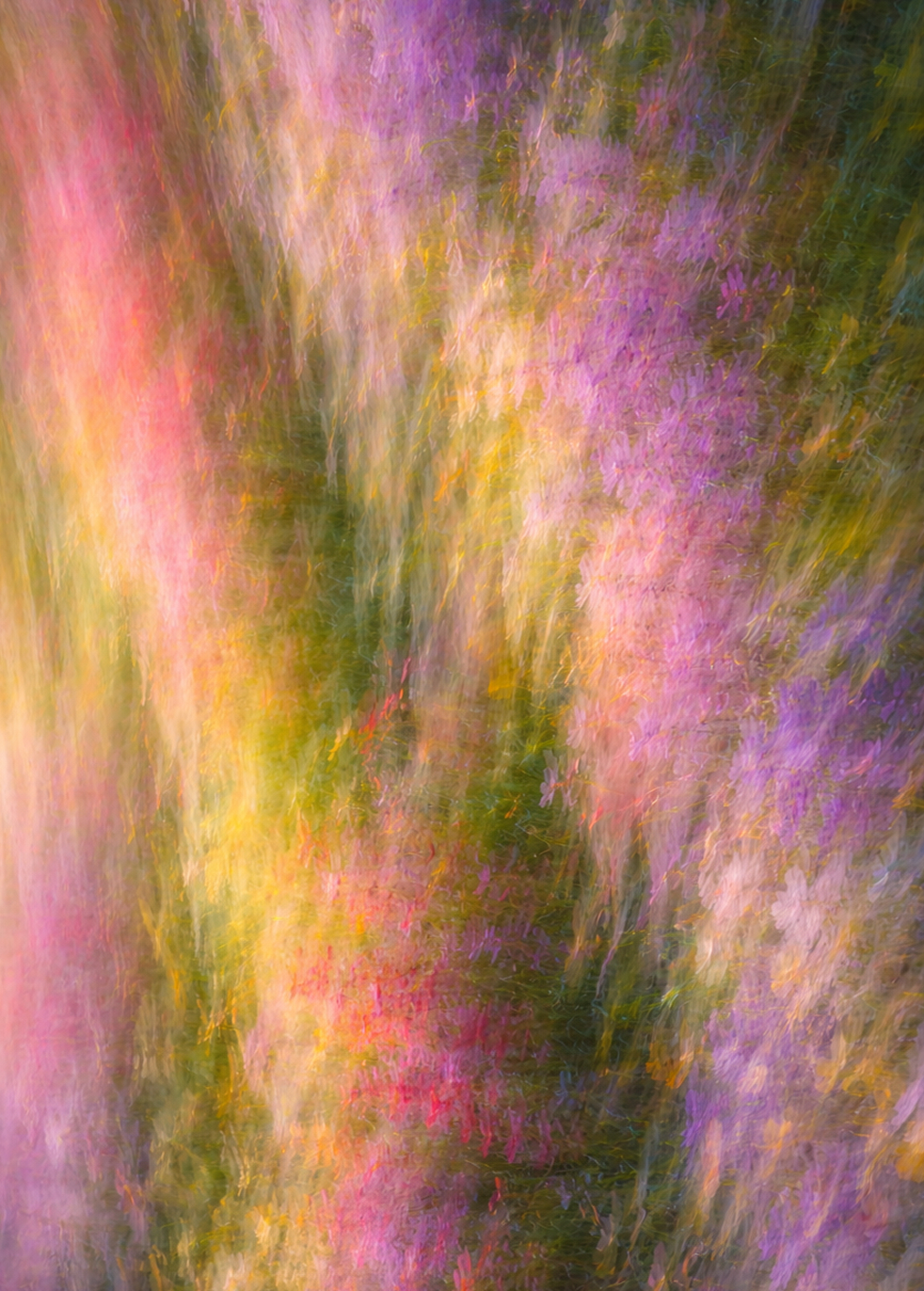 Abstract blurred vertical streaks of pink, purple, yellow, and green colors resembling flowers and foliage.
