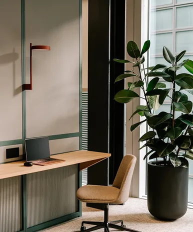 Minimalist office corner with a wooden desk, laptop, beige swivel chair, and a large potted plant near a window.
