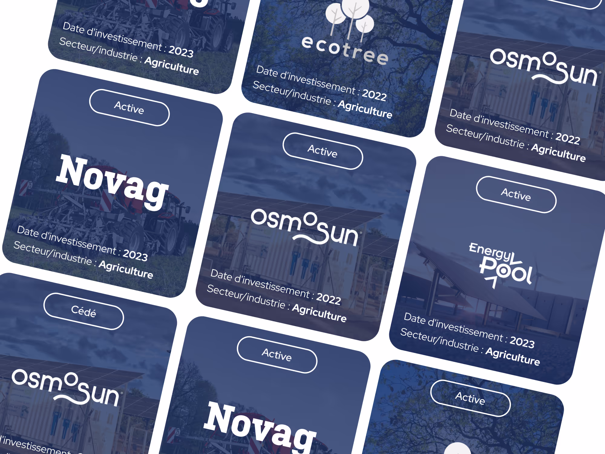 Grid of Famae Impact investment cards showing company names Novag, Osmosun, Ecotree, and Energy Pool with investment dates and agriculture sector noted.