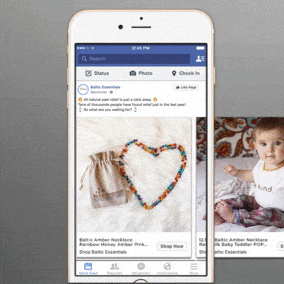 Baltic Carousel Case Study Animated