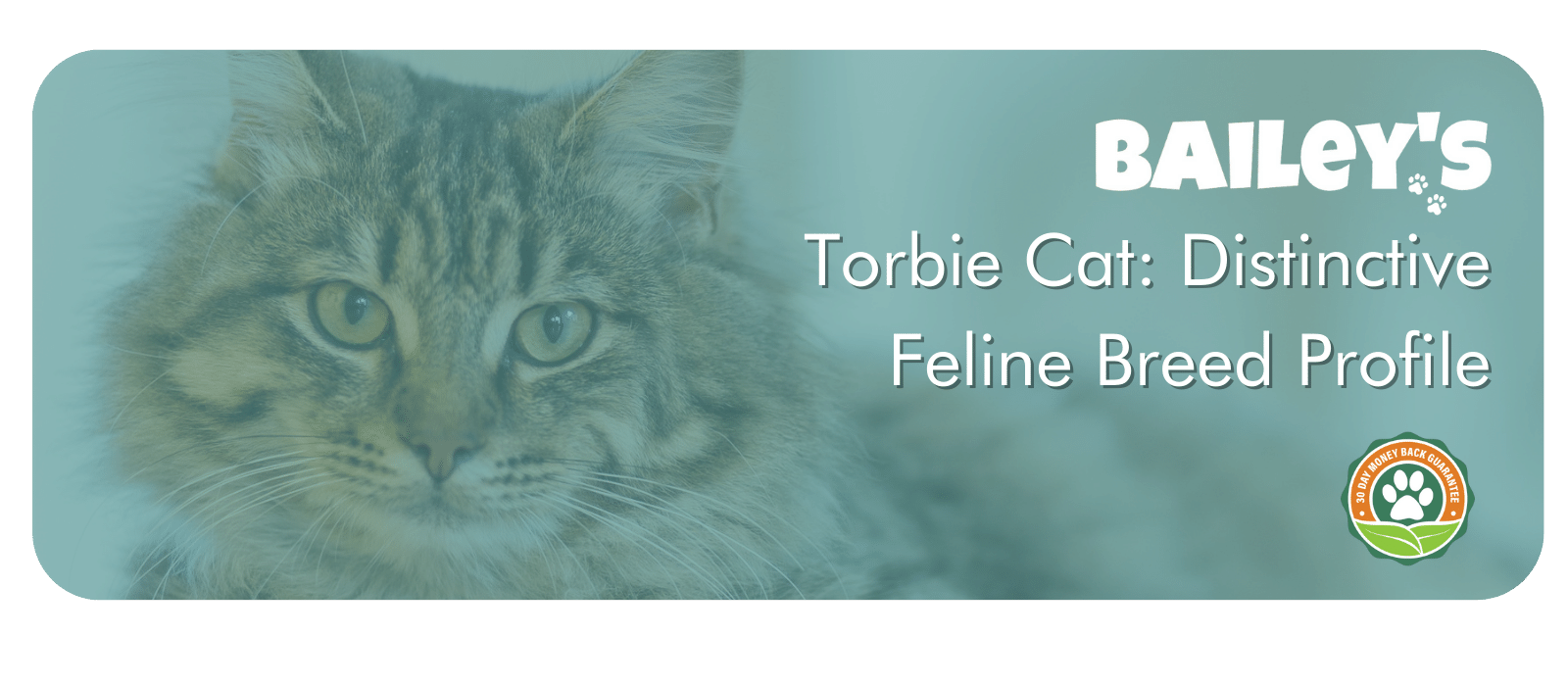 1-May-13-2024-04-45-50-6896-PM