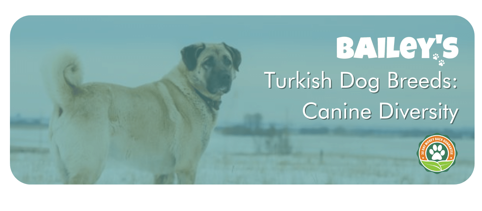 2-May-13-2024-04-46-09-3778-PM