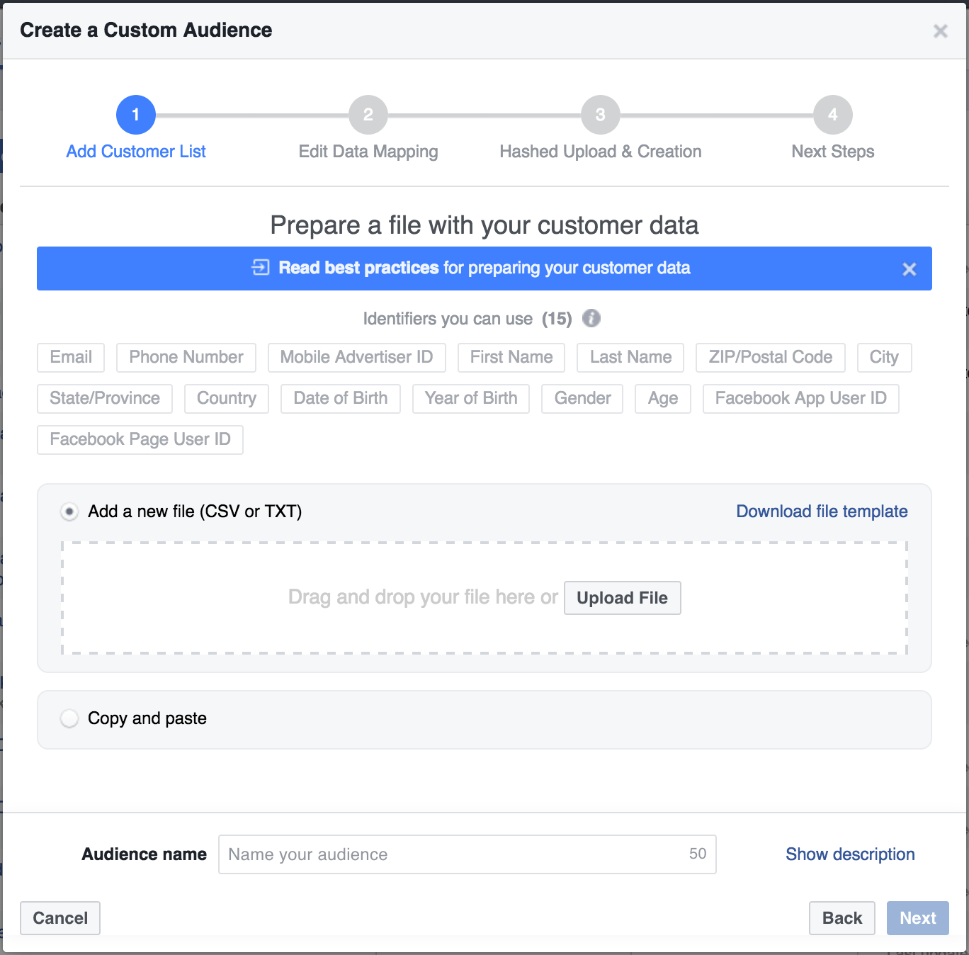 Custom Audience in Facebook