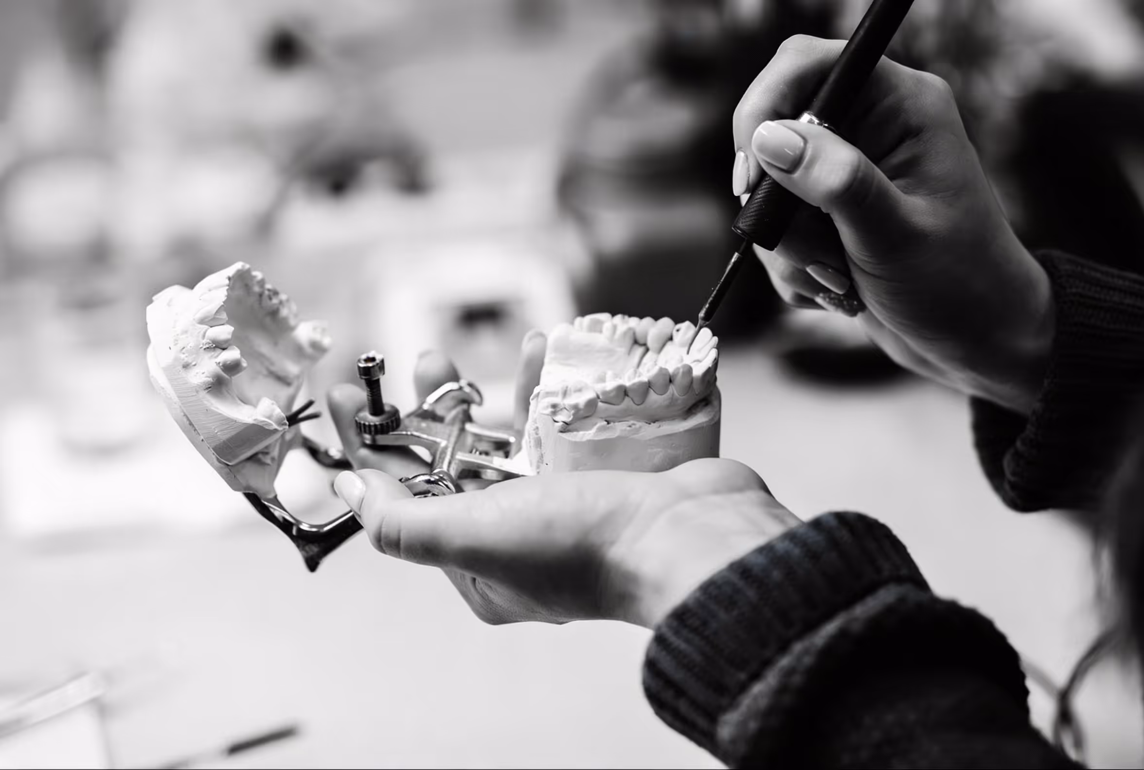 Hands holding a dental articulator with upper and lower plaster tooth molds while using a fine brush to detail the prosthetic teeth in a dental laboratory setting.