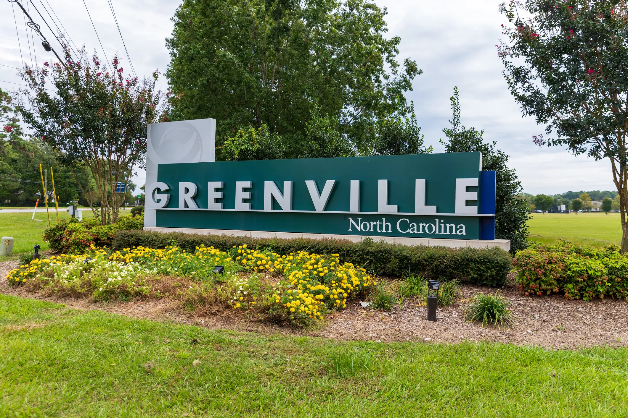 Welcome sign for Greenville, North Carolina surrounded by greenery and yellow flowers.