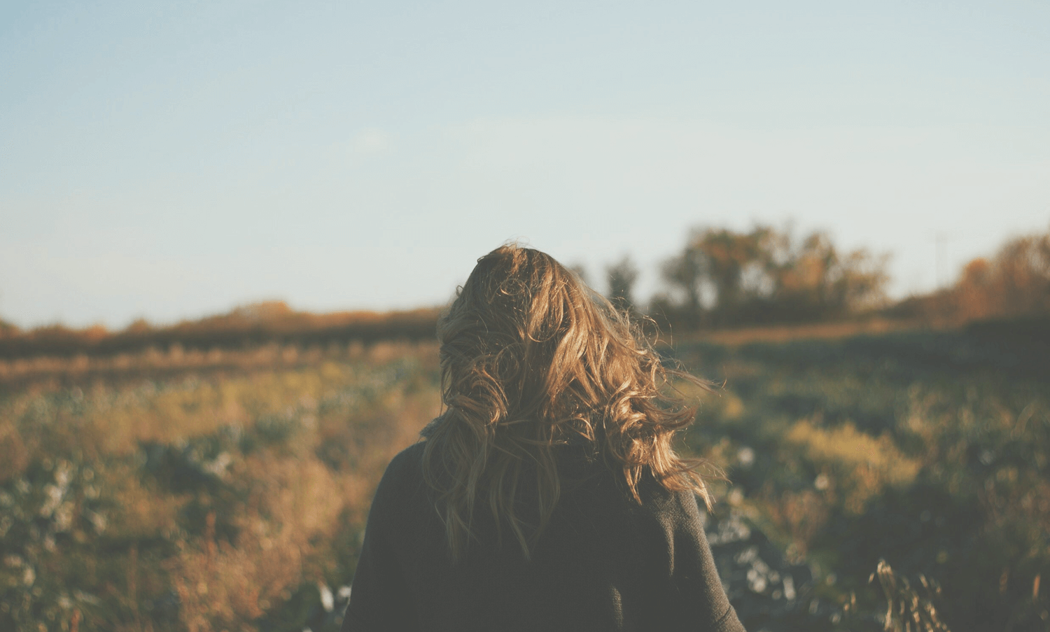 Soft-focused close-up of pink magnolia flowers blooming on branches against a pale sky.