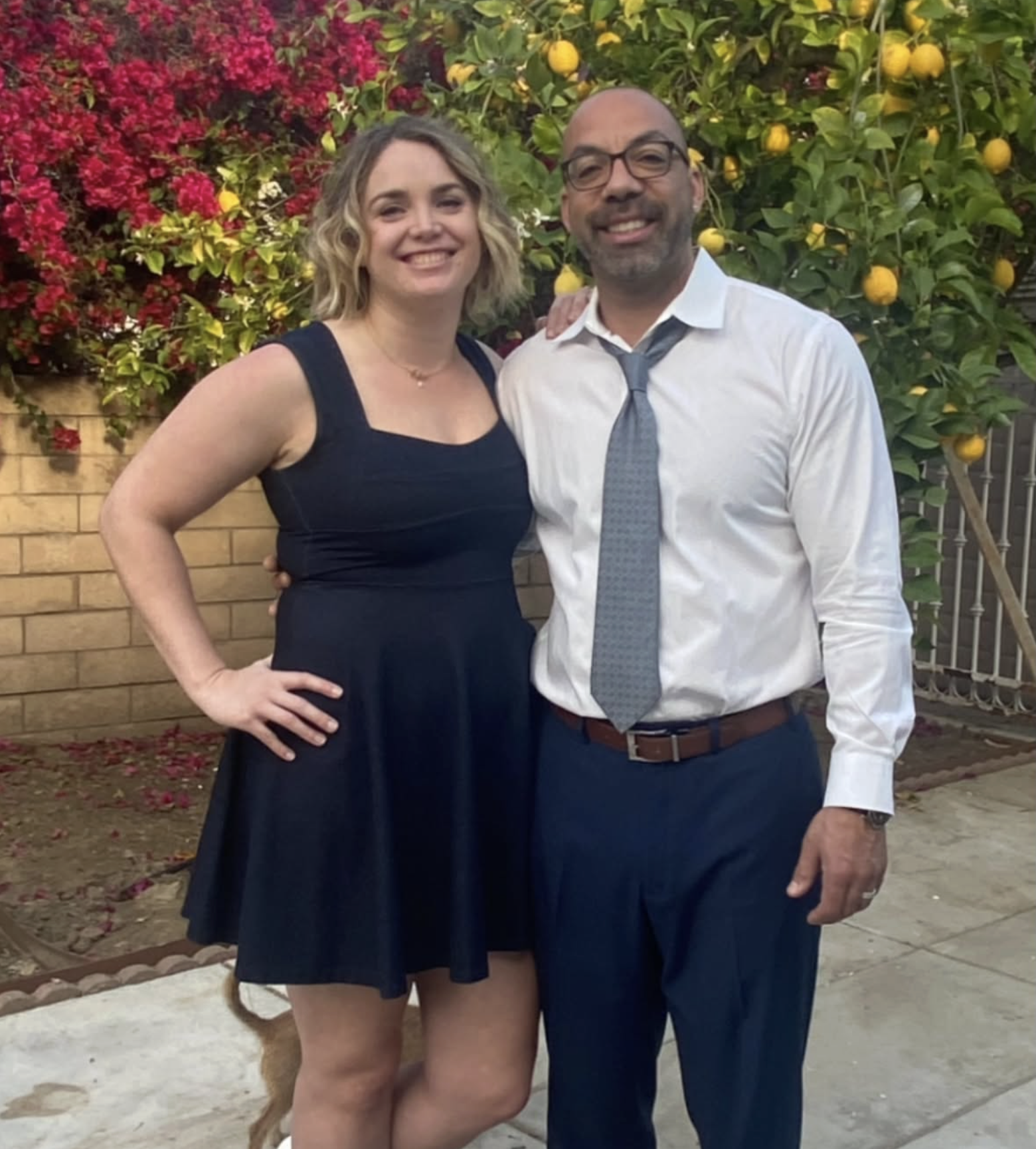Cluster of pink dahlia flowers blooming in a sunlit garden with green leaves and blurred background.