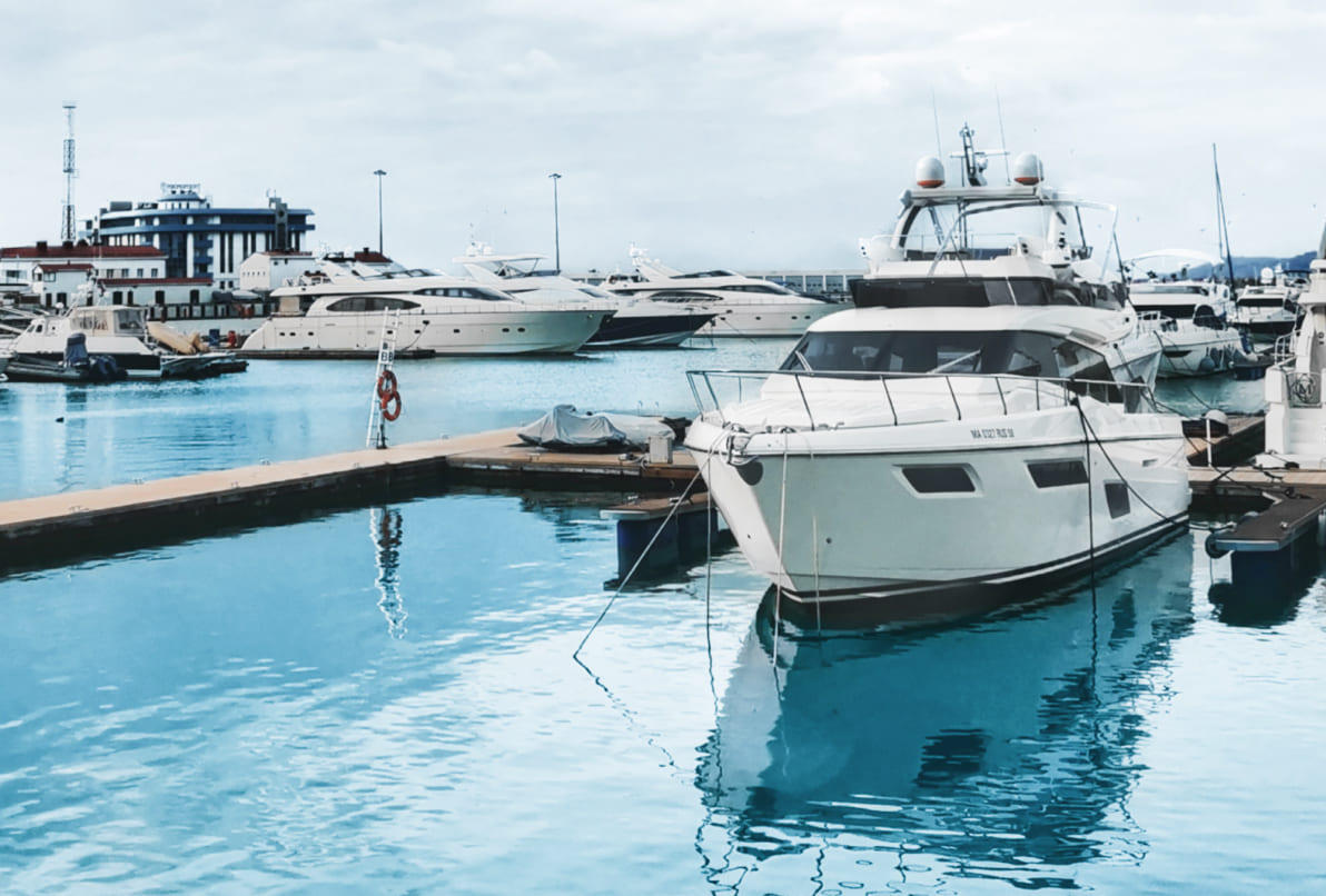 Instagram Feed Image - Boat X Webflow Template