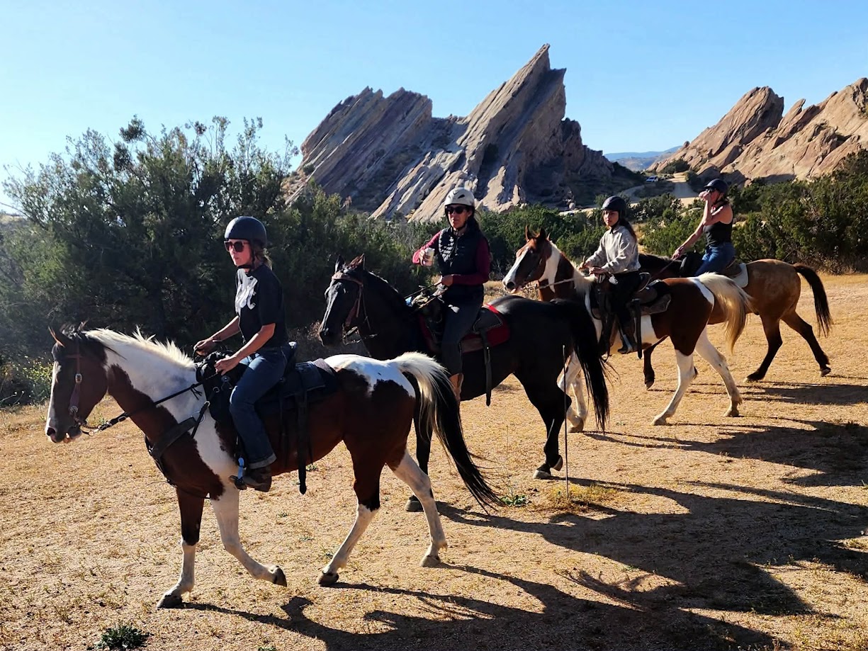 Horse on trail