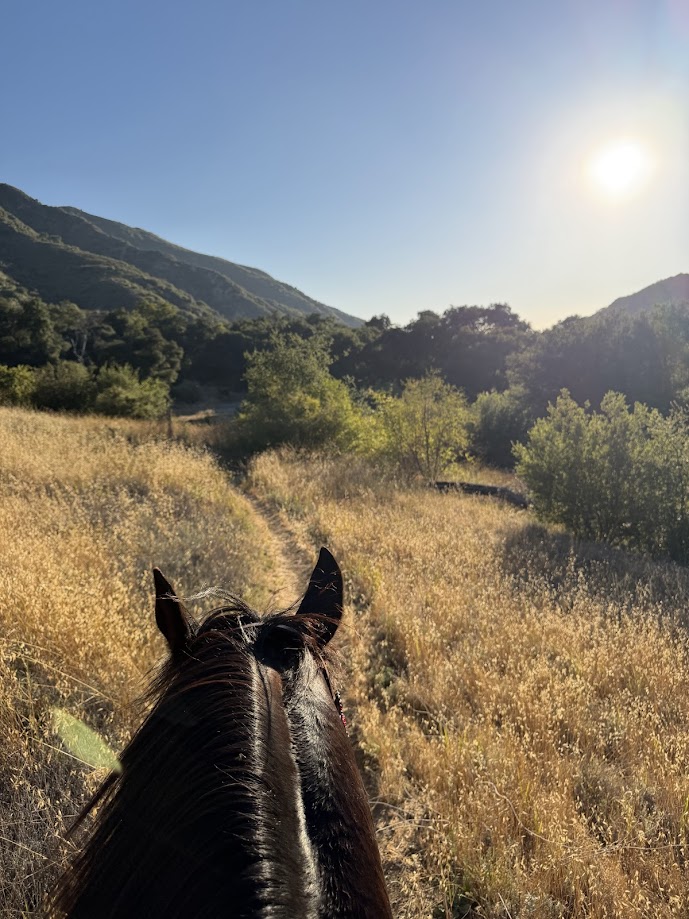 Horseback riders on a sunset trail