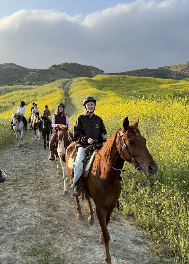Trail ride landscape