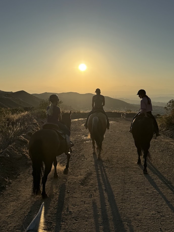 Horseback riders on a sunset trail