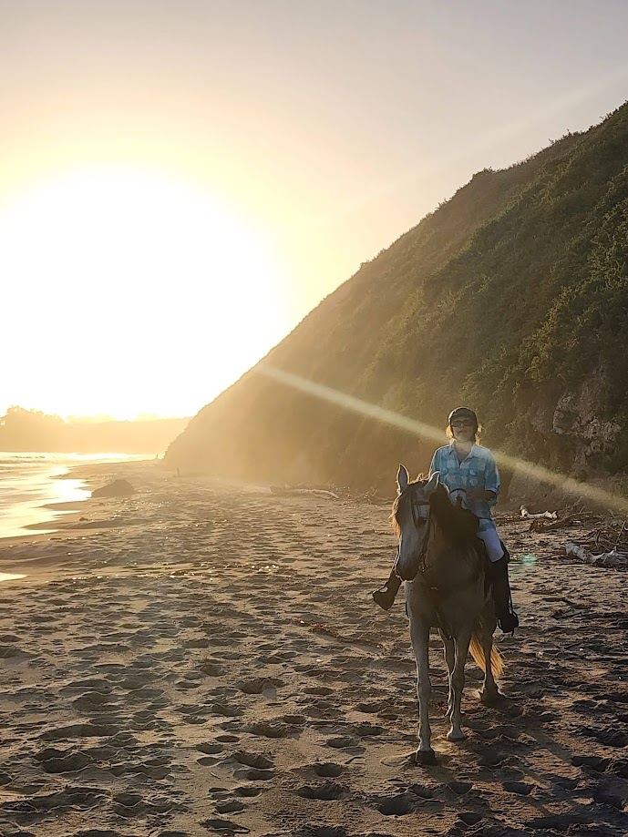 Trail ride landscape