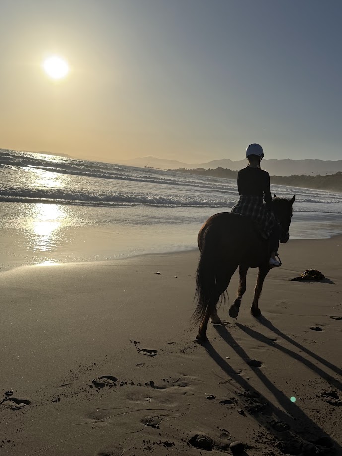 Horseback riders on a sunset trail