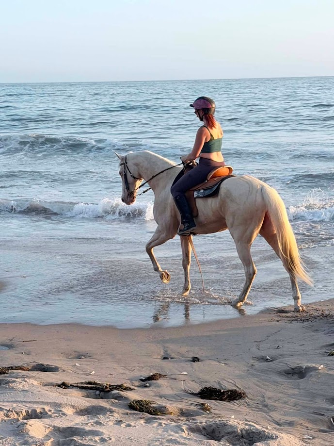 Horse on trail